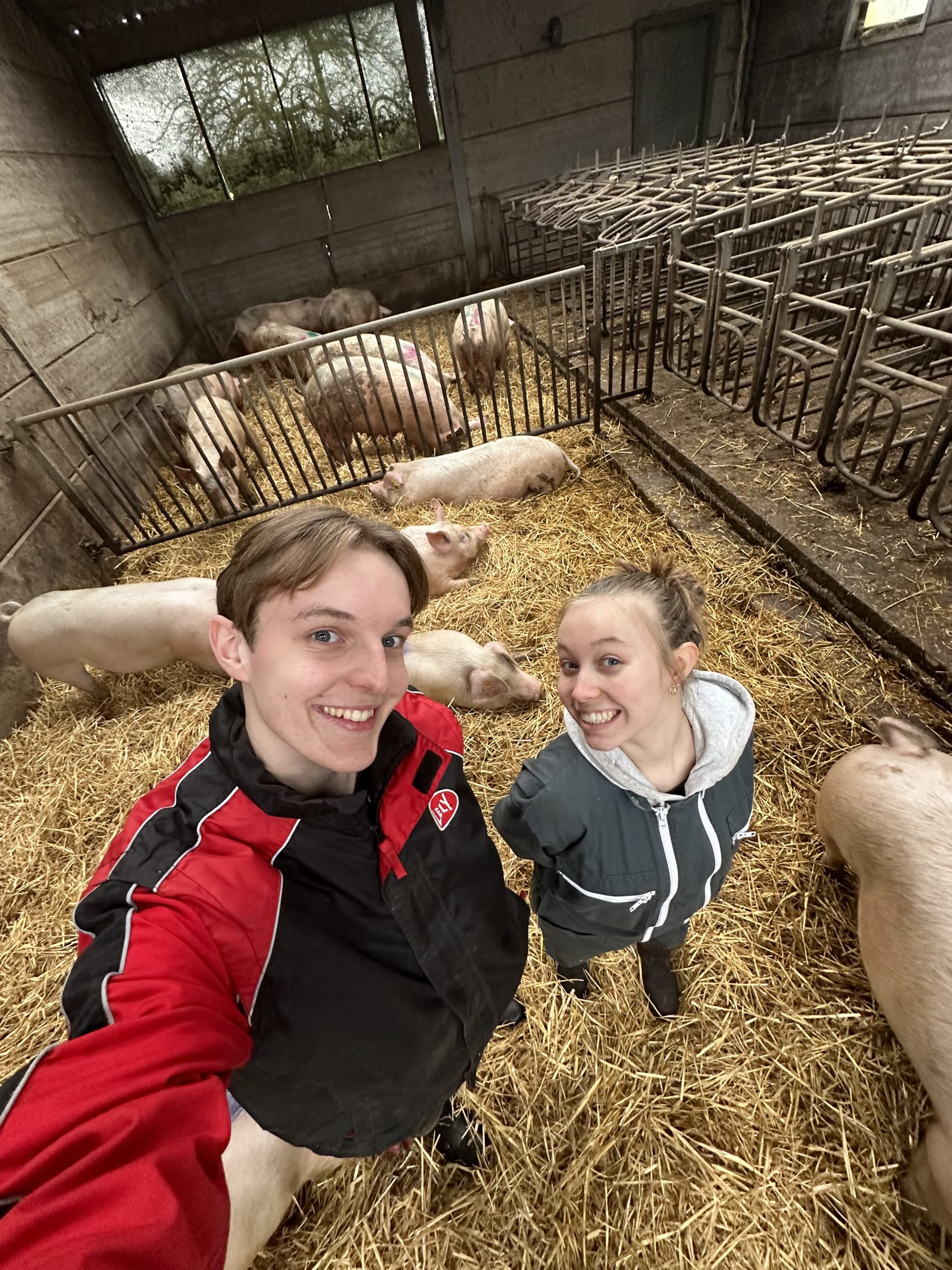 Stage porc en duo en Belgique