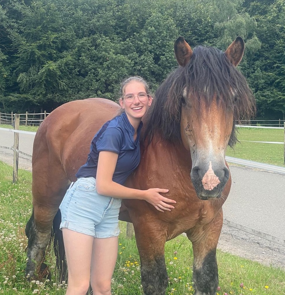 Stage autour du cheval en Belgique