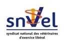 Logo snVel